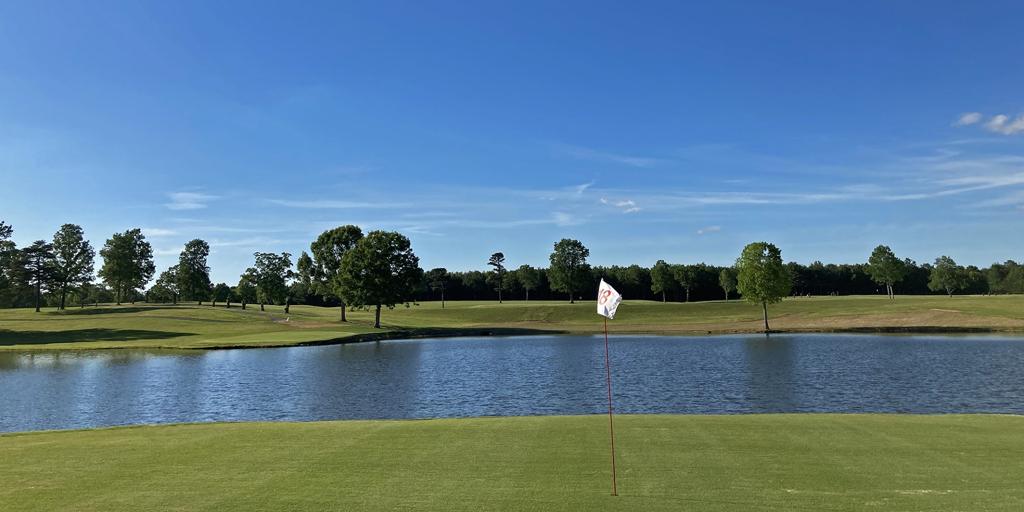 little-mole-country-club-1755475526945