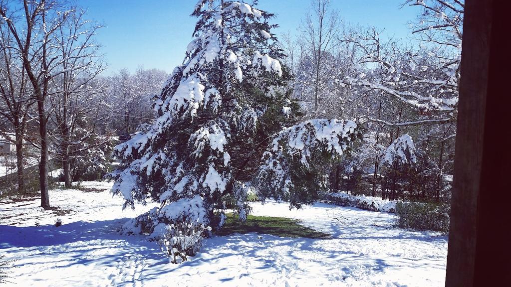 the-hill-1755478070462