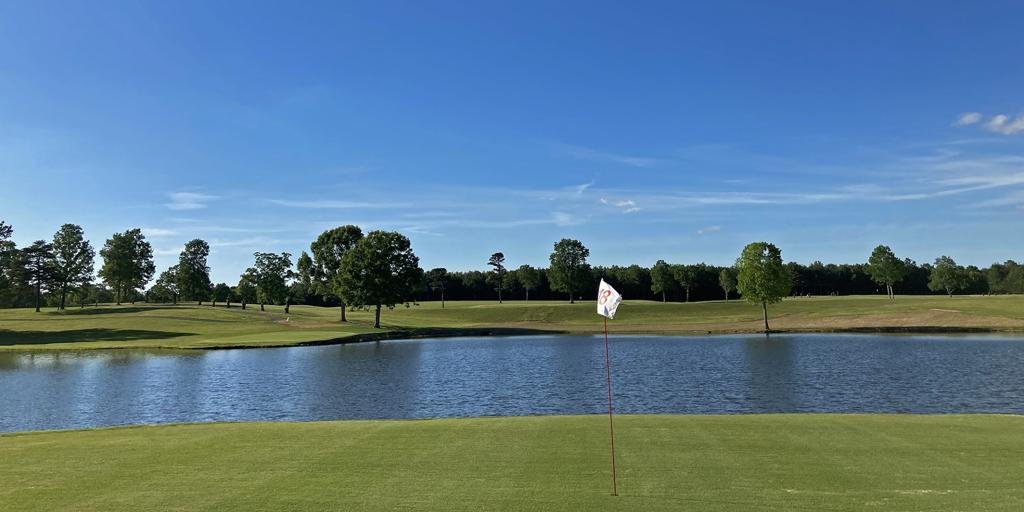 little-mole-country-club-1