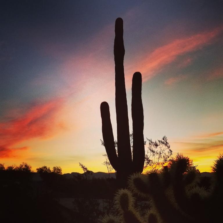 gold-canyon-golf-course-5