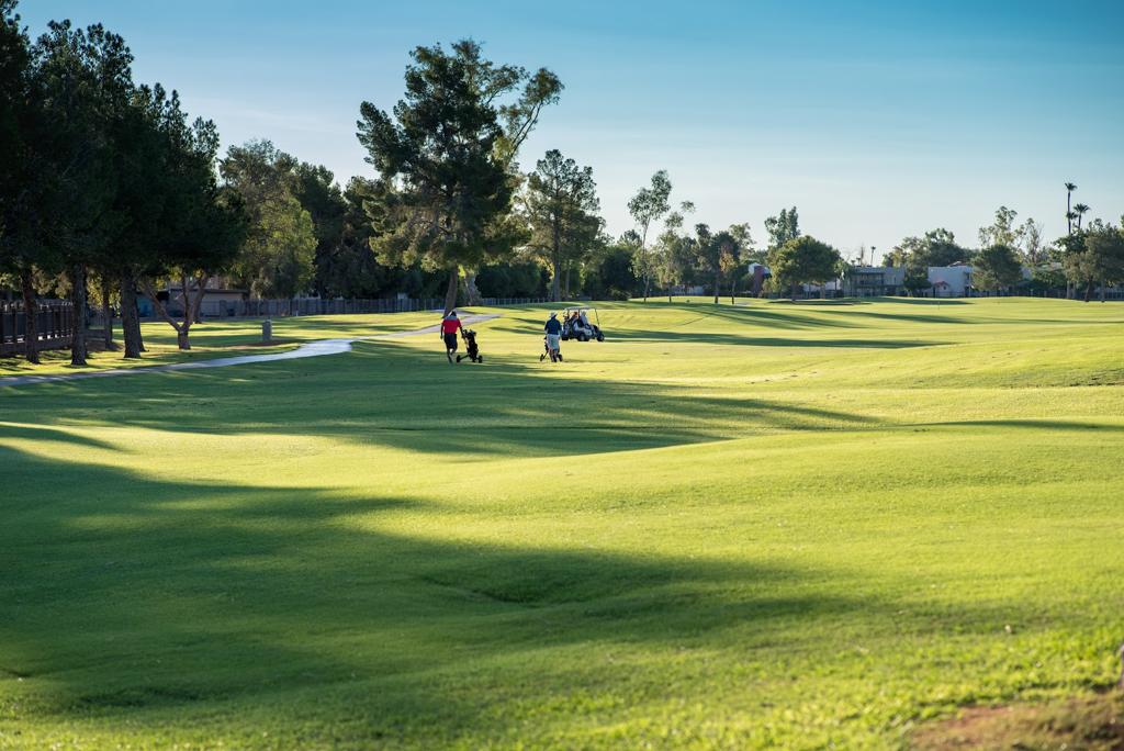 dobson-ranch-golf-course-4