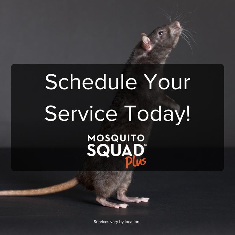 mosquito-squad-of-tucson-1755492205160