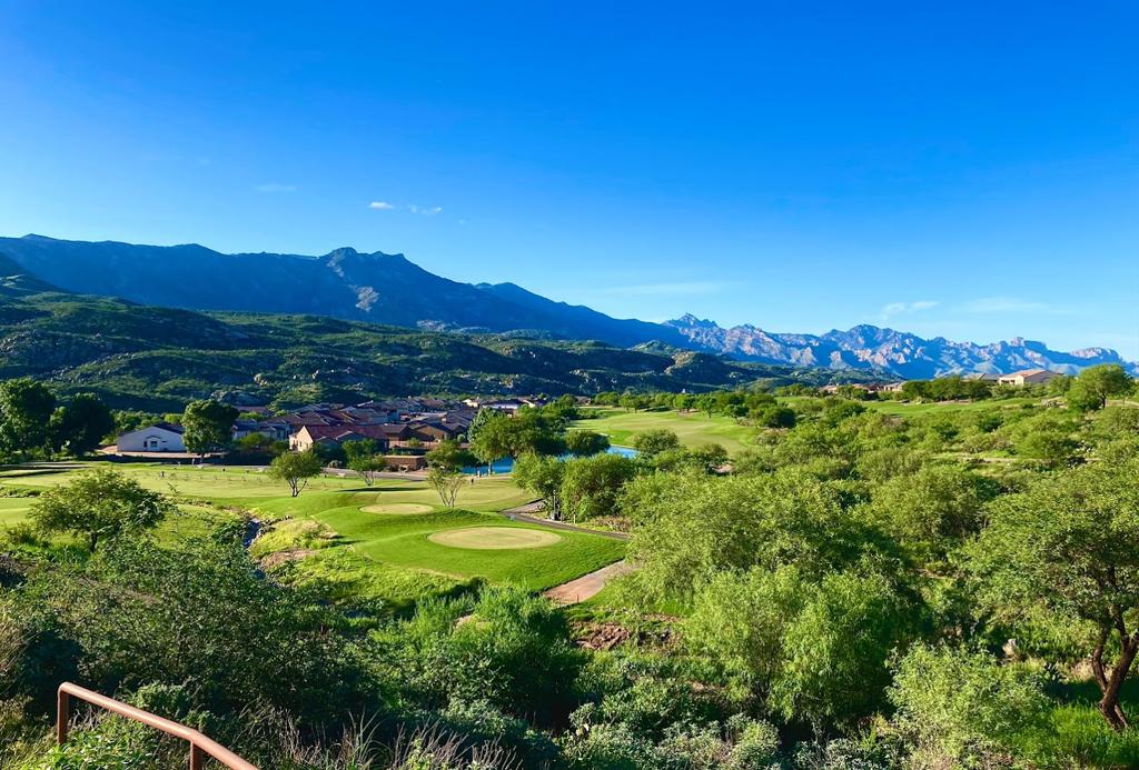 saddlebrooke-active-retirement-community-7