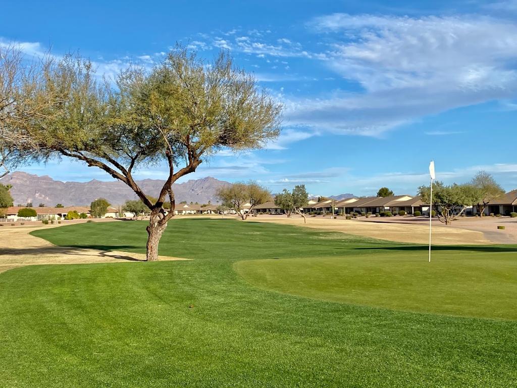 sunland-springs-golf-club-5