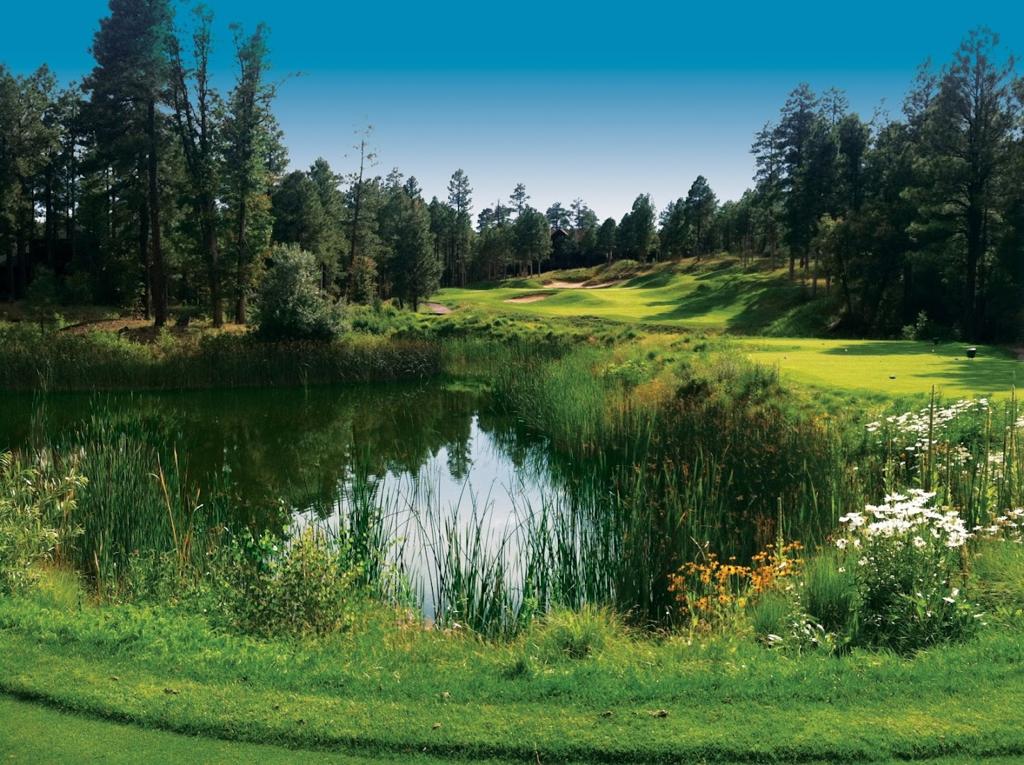 torreon-golf-club-1