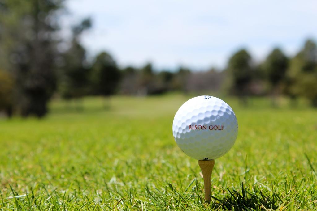 bison-golf-club-1755497110044
