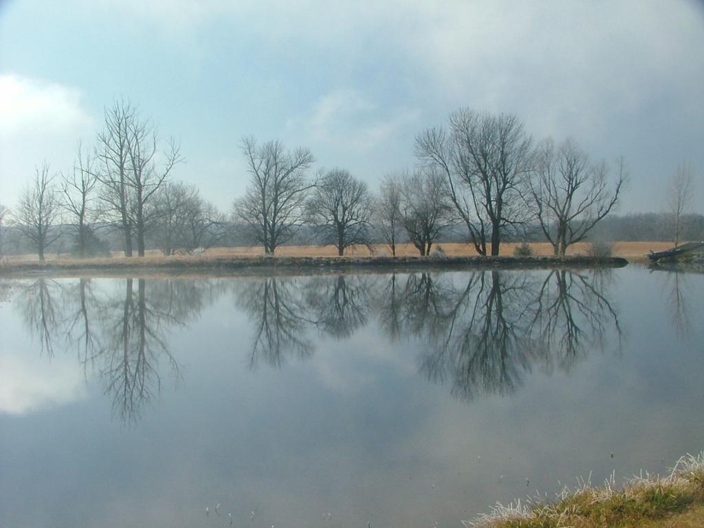 diamond-hills-country-club-bunker-grill-1755471071399