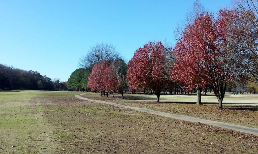 little-creek-country-club-2