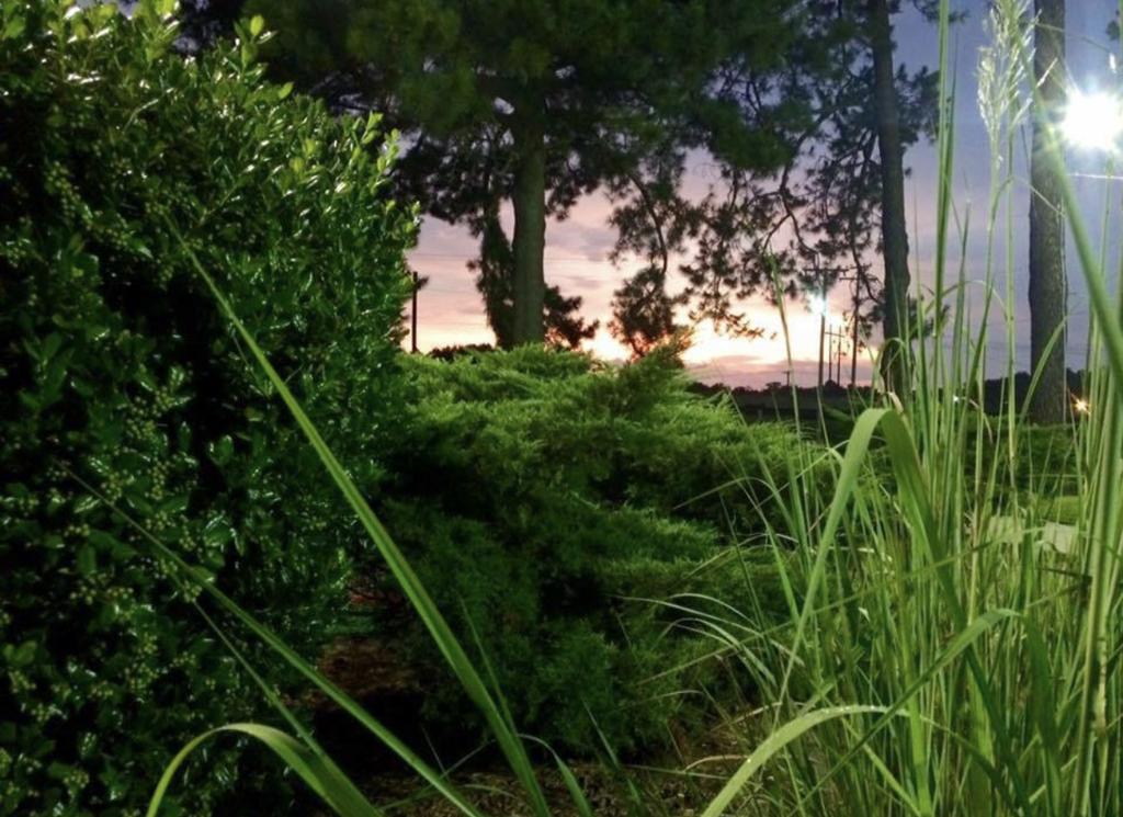 golf-world-1755479747795