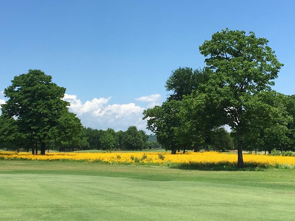 ben-geren-public-golf-course-1755480248952