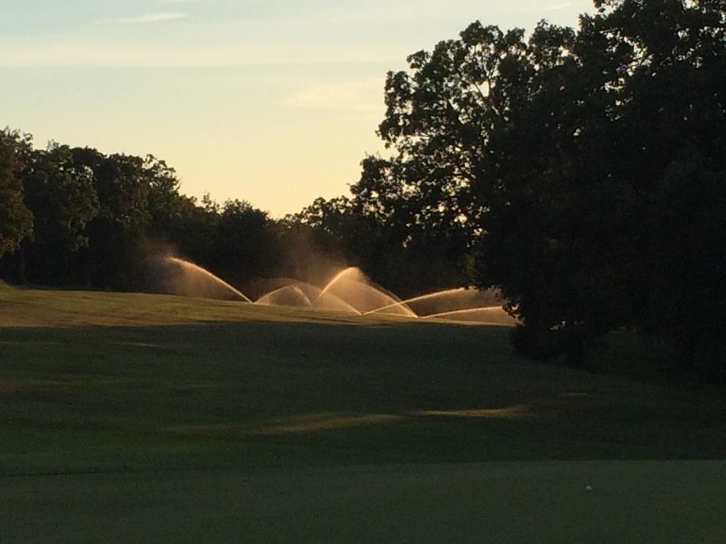 vache-grasse-country-club-1755490238850