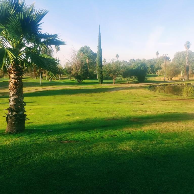 colton-golf-course-6