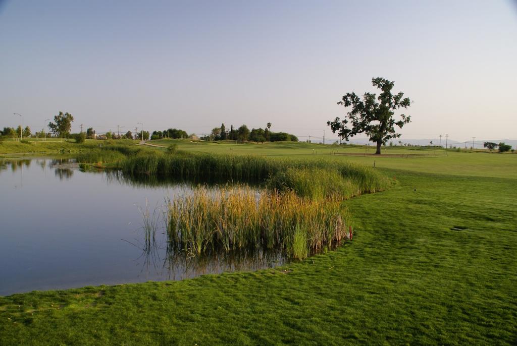 wild-wings-golf-club-1755475383134