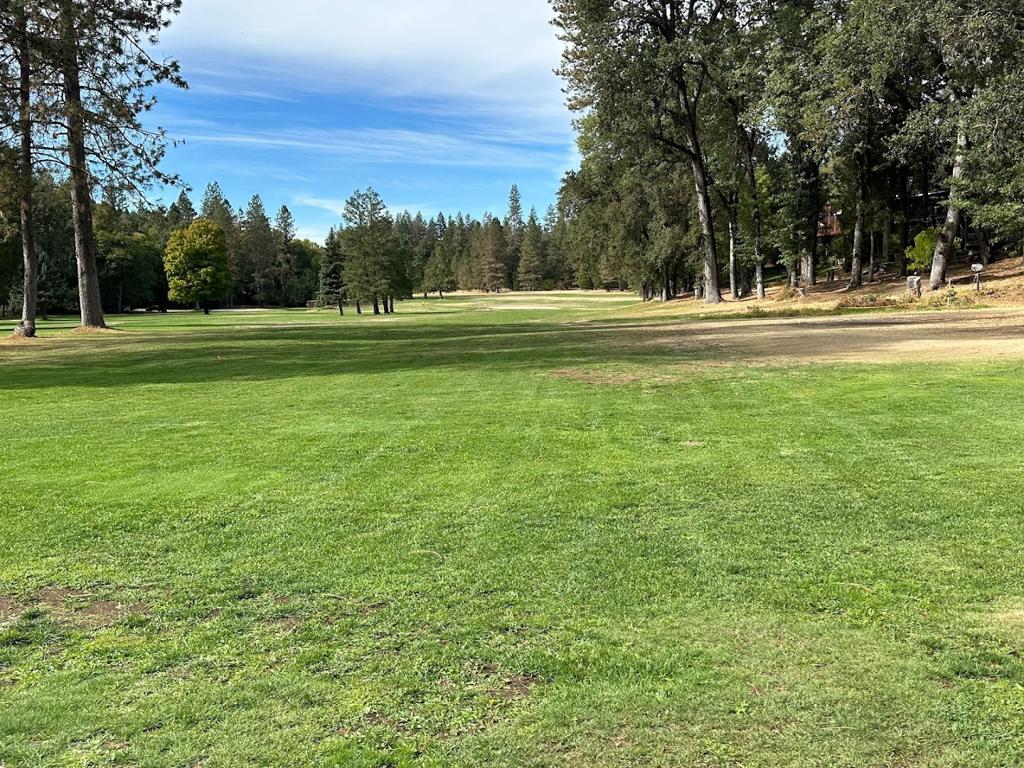 belmont-pines-golf-course-1755479437677