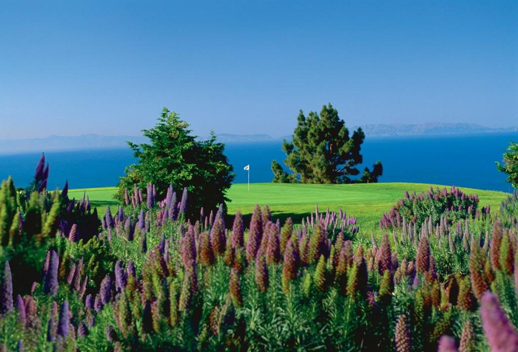 los-verdes-golf-course-6