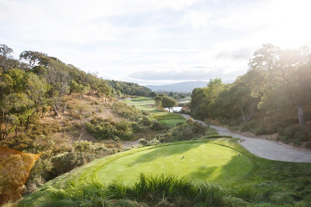 stonetree-golf-club-6