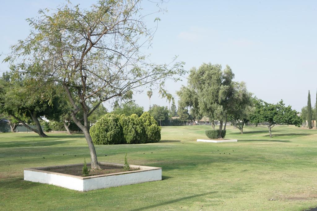 cottonwood-golf-center-4