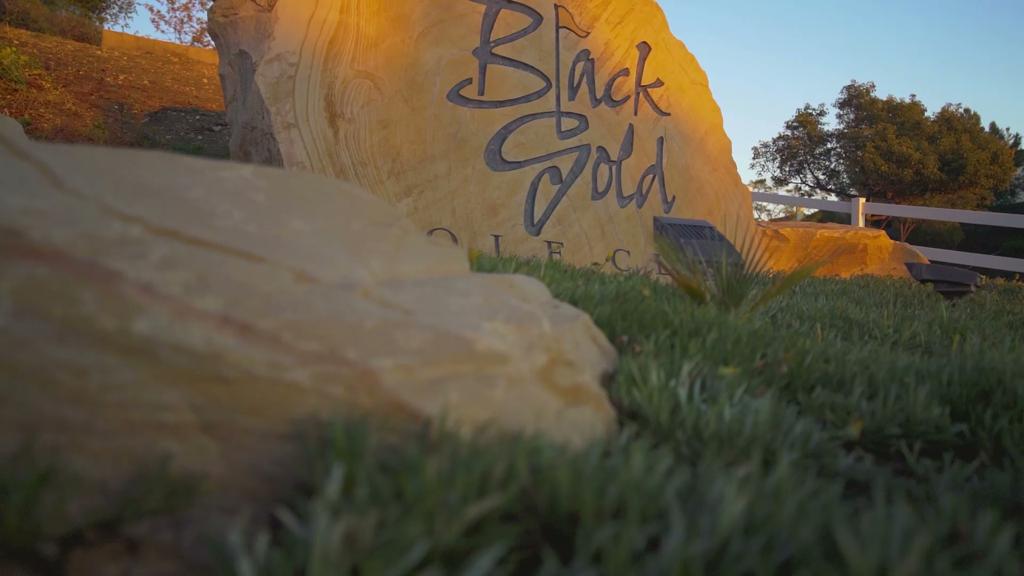 black-gold-golf-club-5