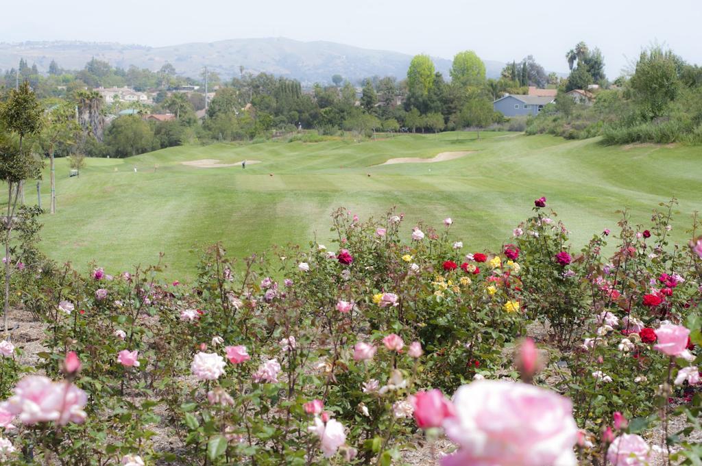 westridge-golf-club-7