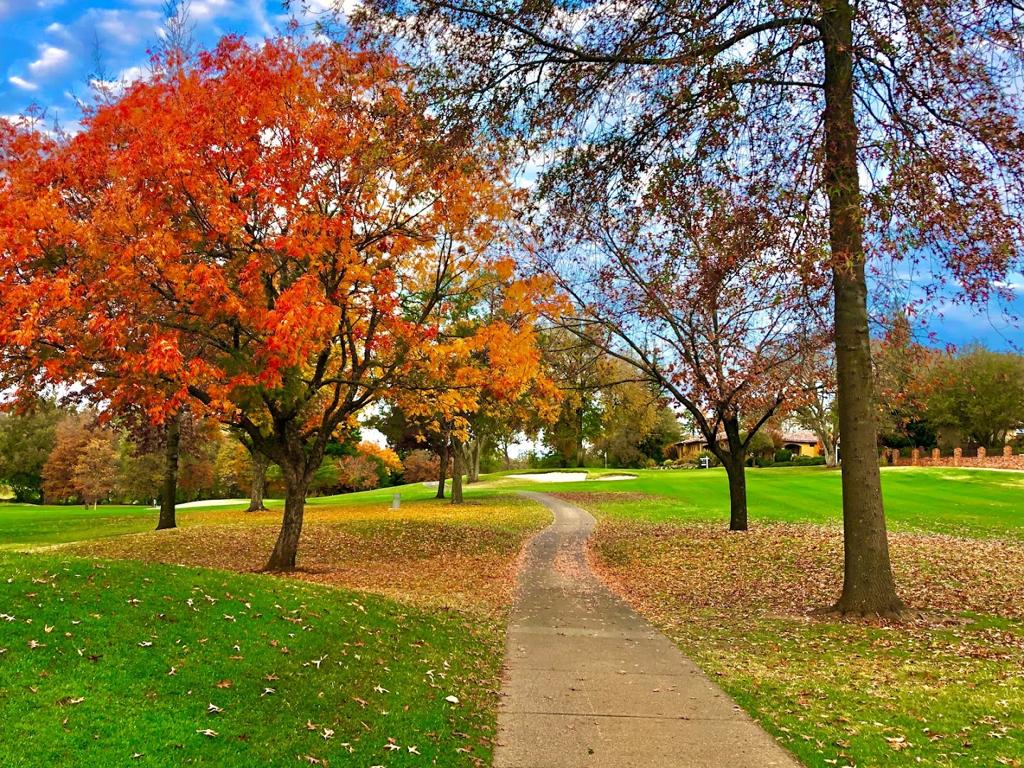 cameron-park-country-club-6