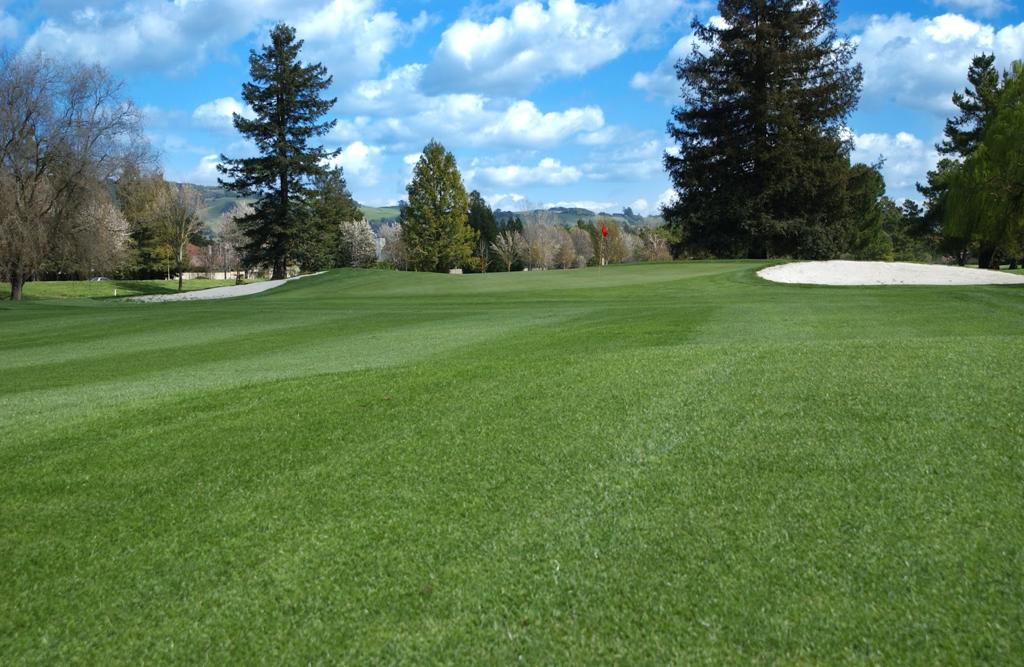 foxtail-golf-club-2