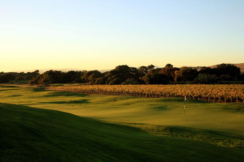 chardonnay-golf-club-1755490479642