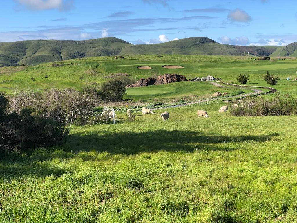 dairy-creek-golf-course-5