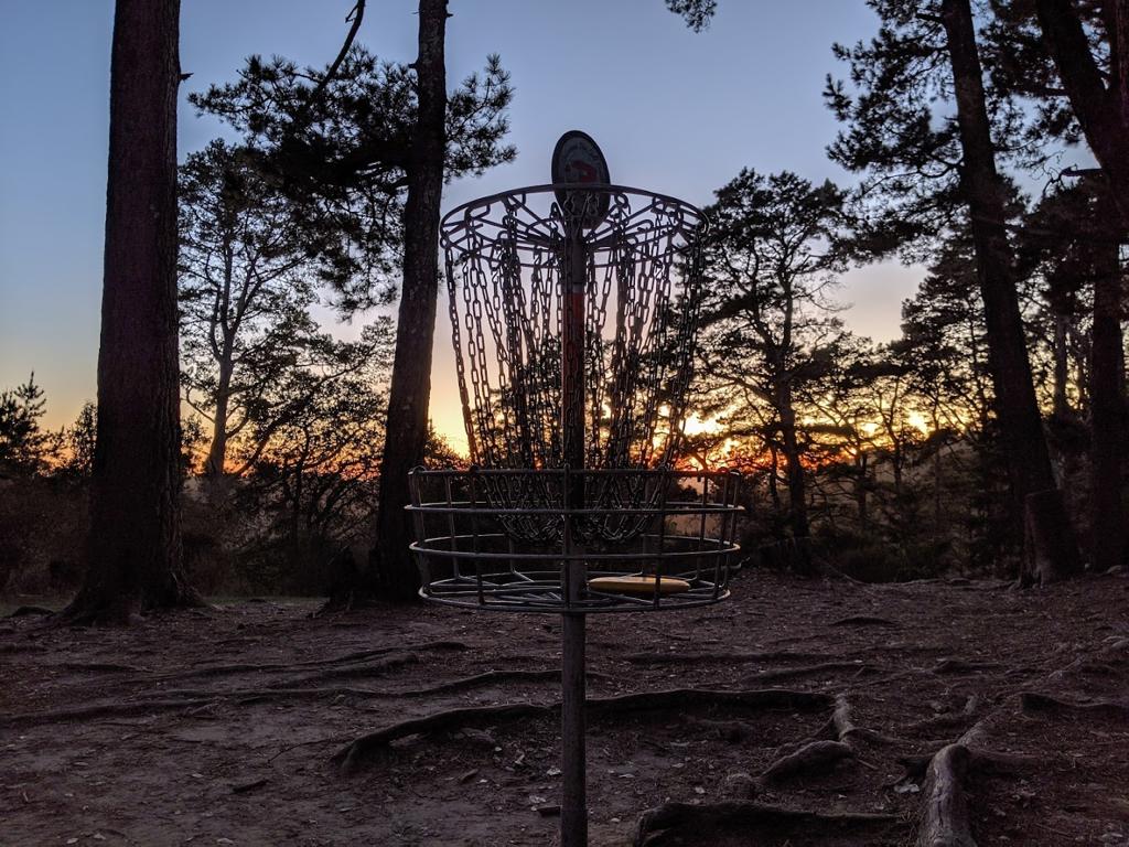 delaveaga-disc-golf-course-4