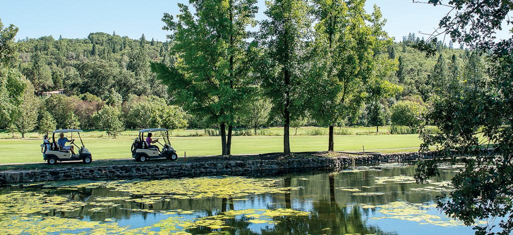 cold-springs-golf-and-country-club-5