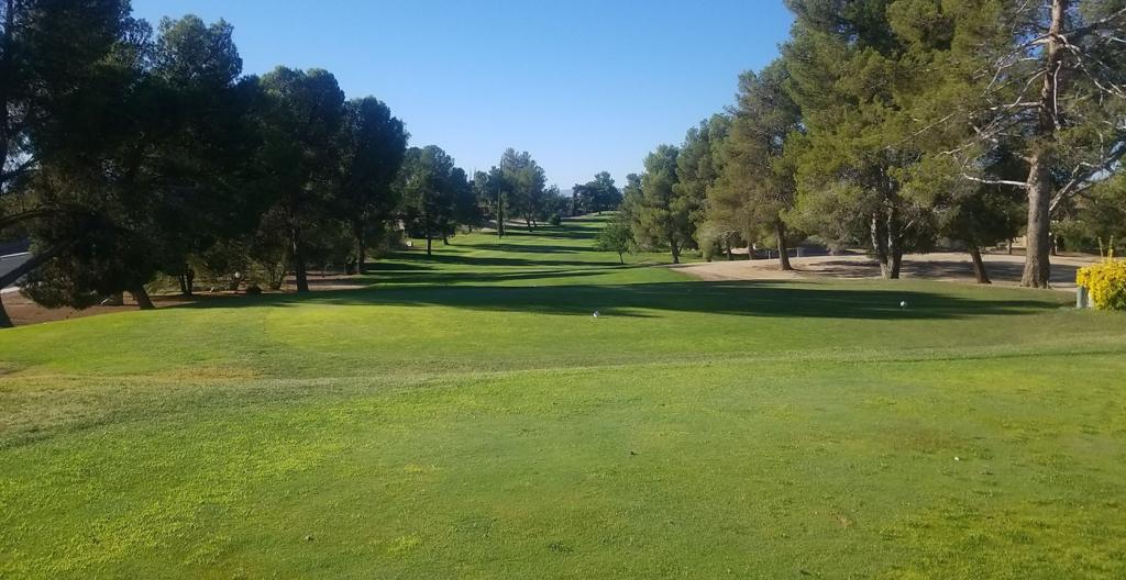 green-tree-golf-course-5