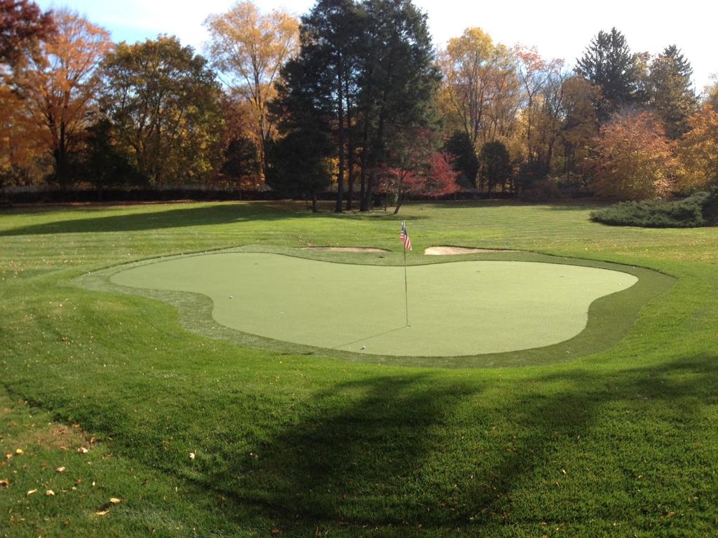 prolinks-putting-greens-1