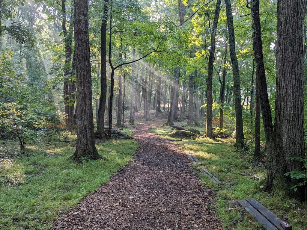 panthorn-park-disc-golf-course-1