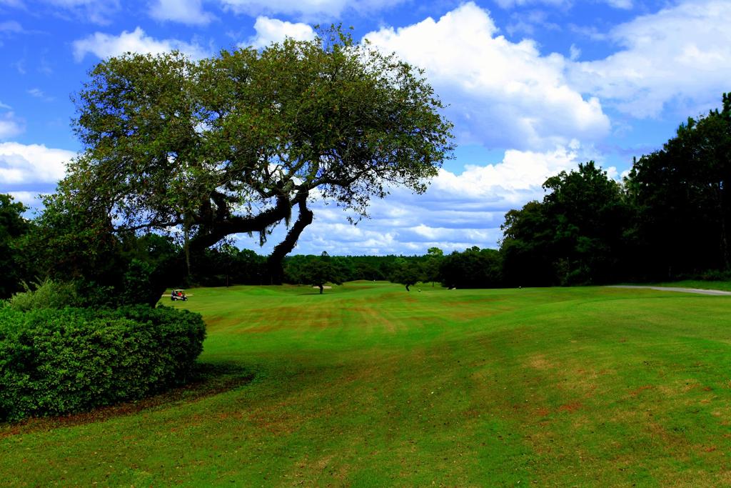 twisted-oaks-golf-club-5