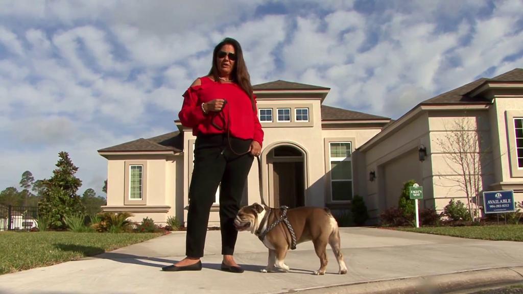 amelia-national-ici-homes-1755475886557