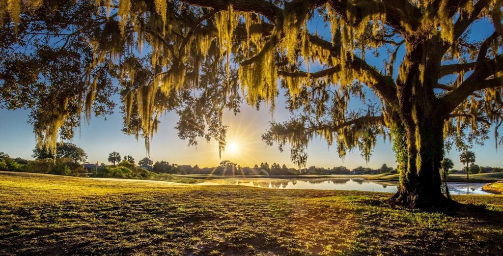 kissimmee-bay-country-club-1