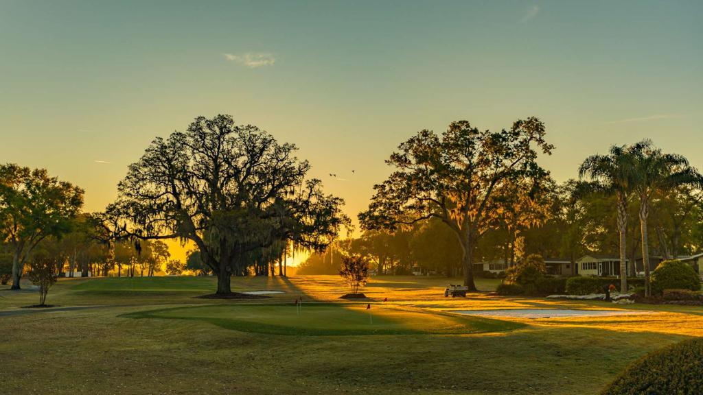 water-oak-golf-course-1755478801904