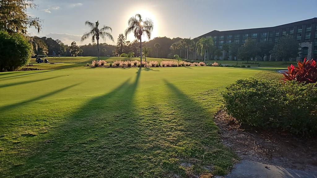 disneys-palm-driving-range-1