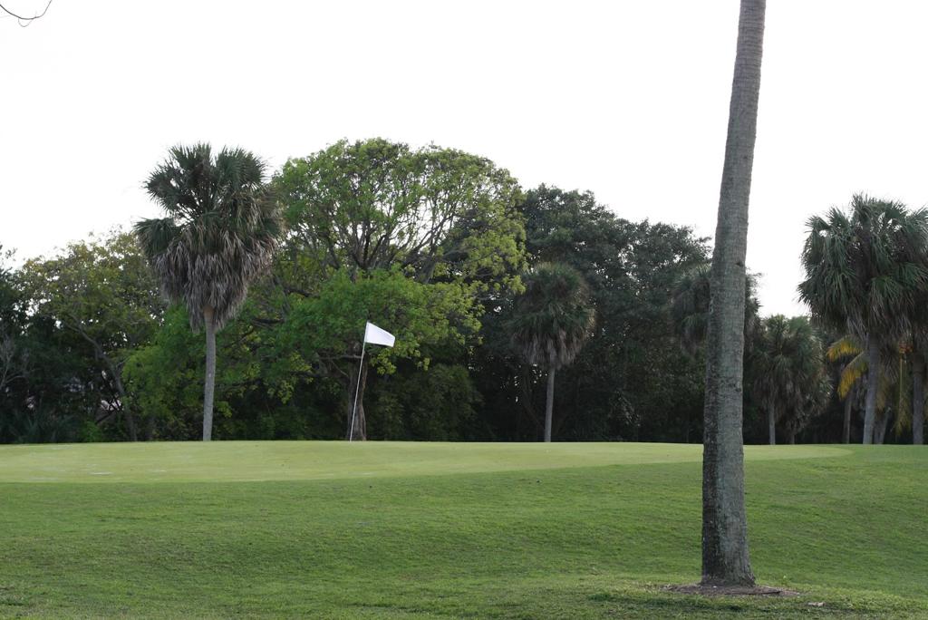 eco-golf-club-5