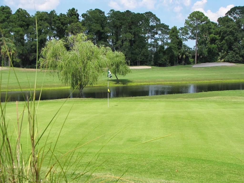 the-preserve-at-turnbull-bay-2