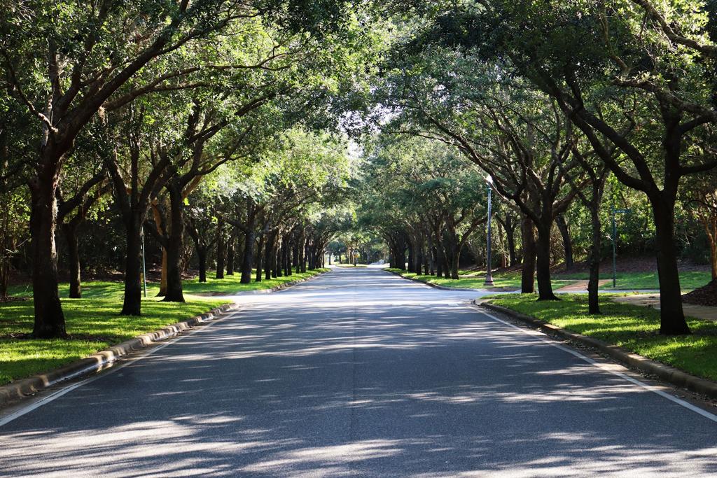 halifax-plantation-golf-club-5