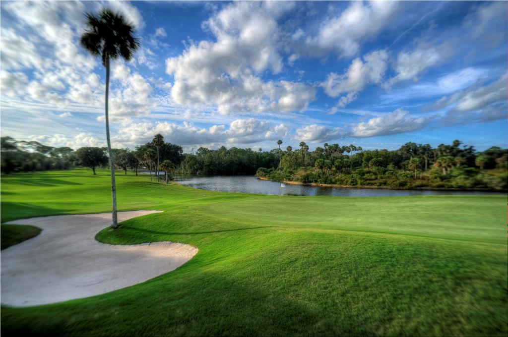 palm-harbor-golf-club-1755489676400
