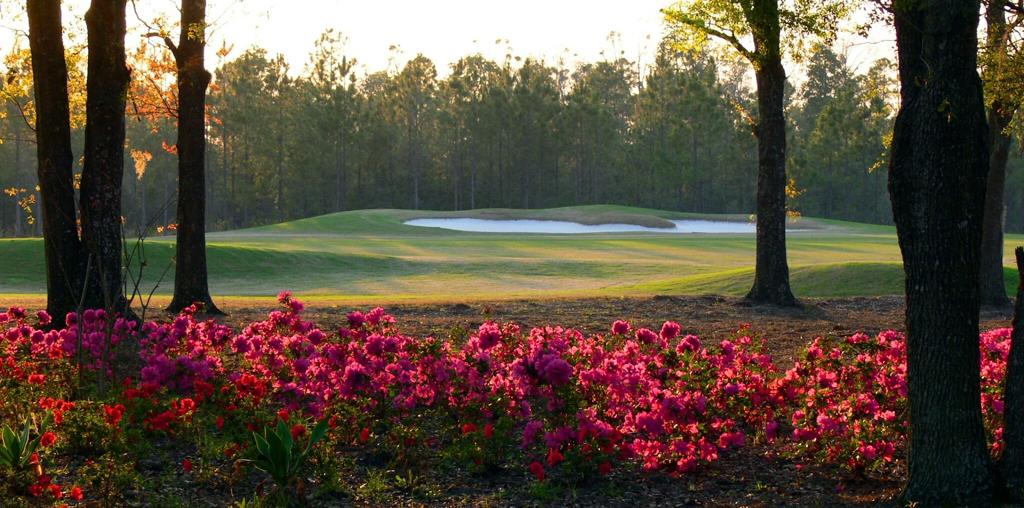 eagle-landing-golf-club-1755490023060