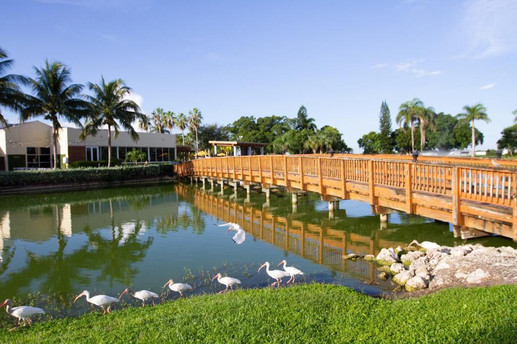 pompano-beach-golf-course-5