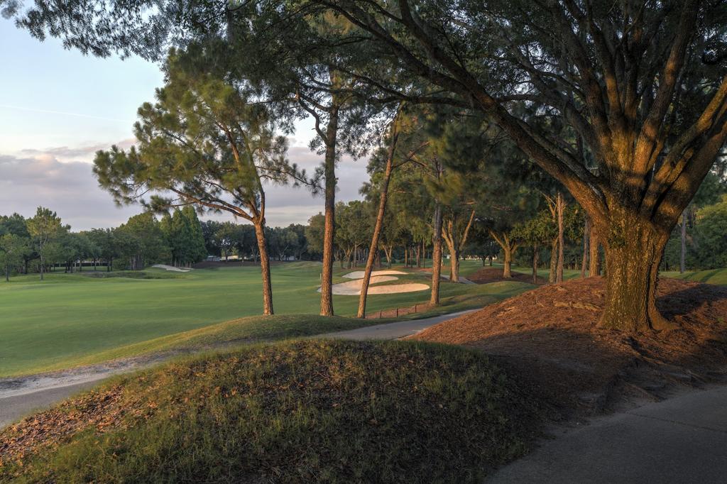 tpc-tampa-bay-5