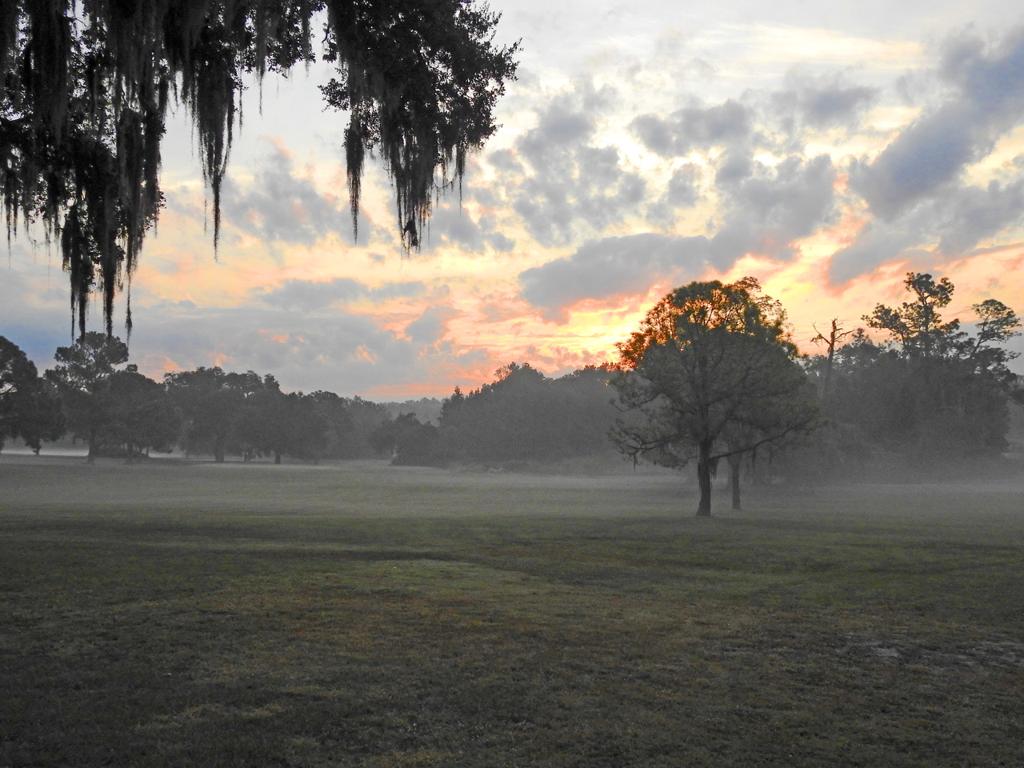 abbey-golf-course-driving-range-1755492069399