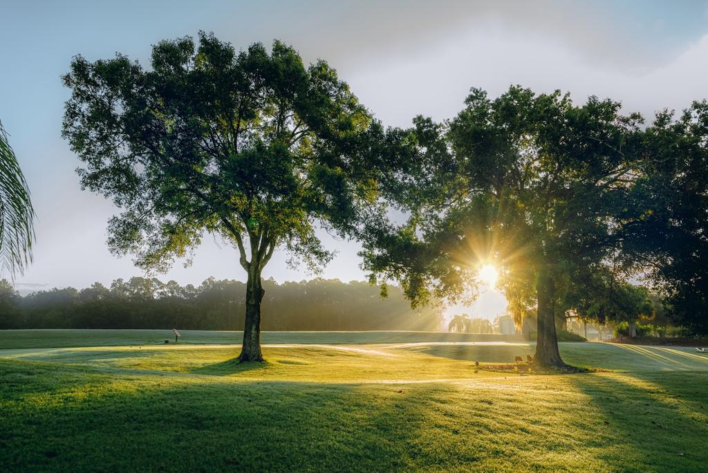 cimarrone-golf-club-6