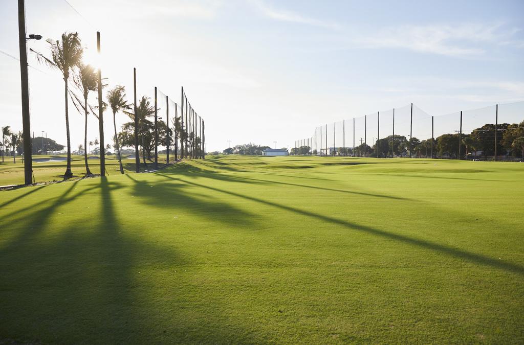 the-park-1755496871199