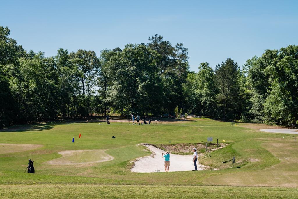 wedges-and-woods-1755475947841