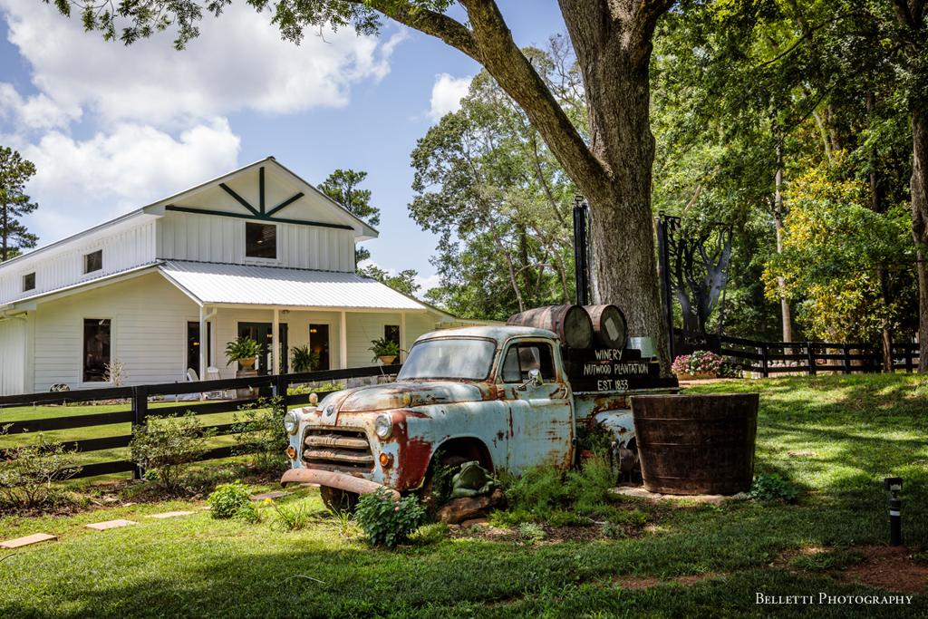 nutwood-winery-tasting-room-vineyard-cafe-1755478812366