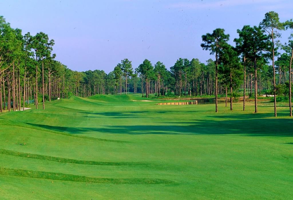palmetto-hall-golf-and-country-club-1
